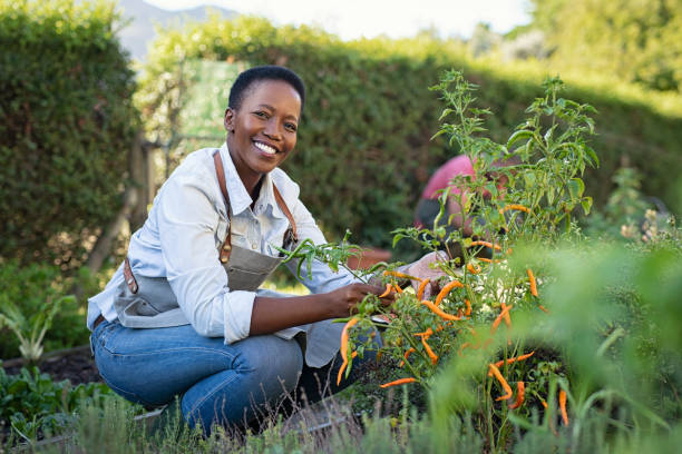 9 Essential Principles for Gardening and Harmonizing with God's Commandments